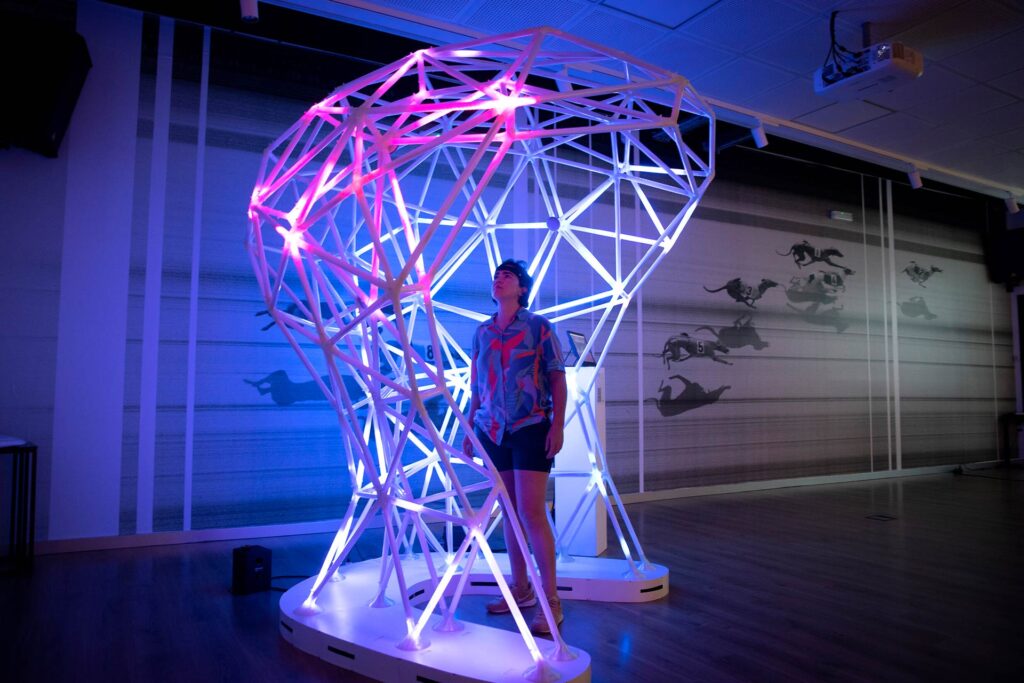 DISEÑO TÉCNICO E IMPLANTACIÓN DEL SITEMA PARA LA INSTALACIÓN NEURONNECTION DE ANAISA FRANCO